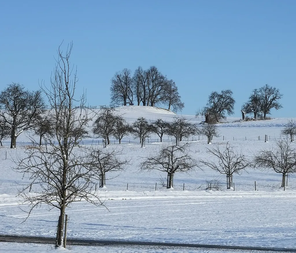 Place of the vanished castle Margarethenberg, Salem-Buggensegel, county Bodenseekreis, Germany