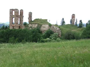 Plaveč Castle