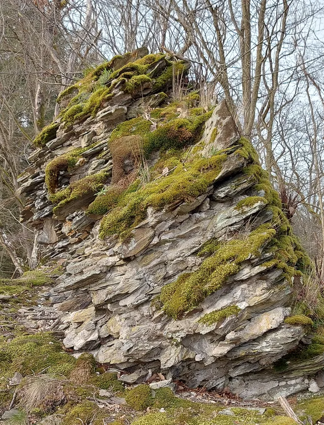 Burgruine Neu-Langenau, Rest des Burgturms, gelegen nahe der Ortsgemeinde Weinähr (Verbandsgemeinde Bad Ems-Nassau) in Rheinland-Pfalz, Deutschland