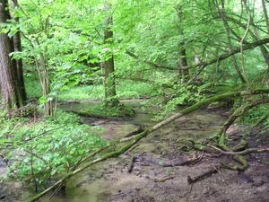Górzno-Lidzbark Landscape Park