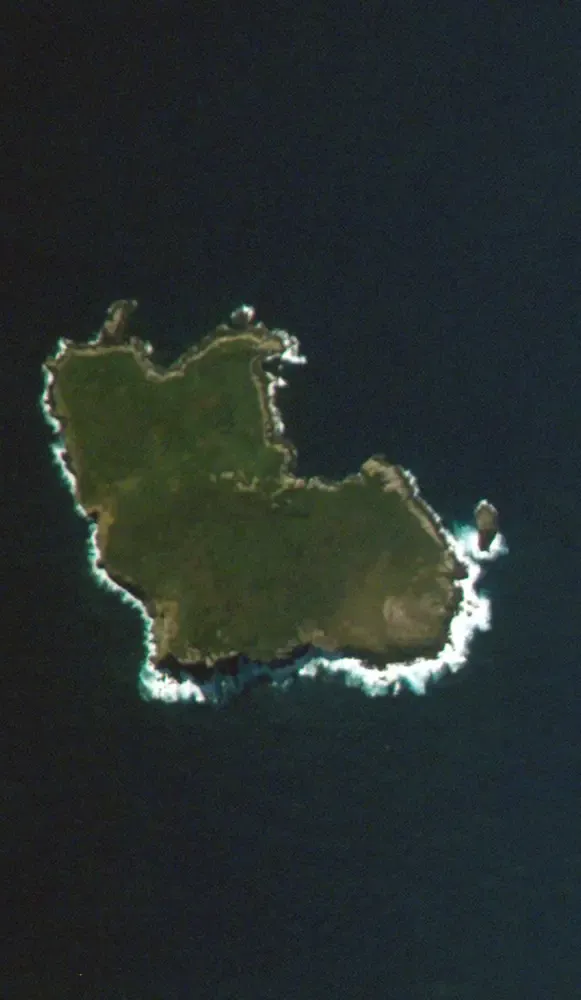 South East Island (Rangatira)