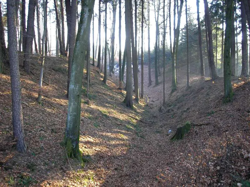 Burgstall Burgadelzhausen.