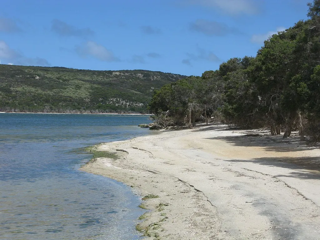 Stokes National Park