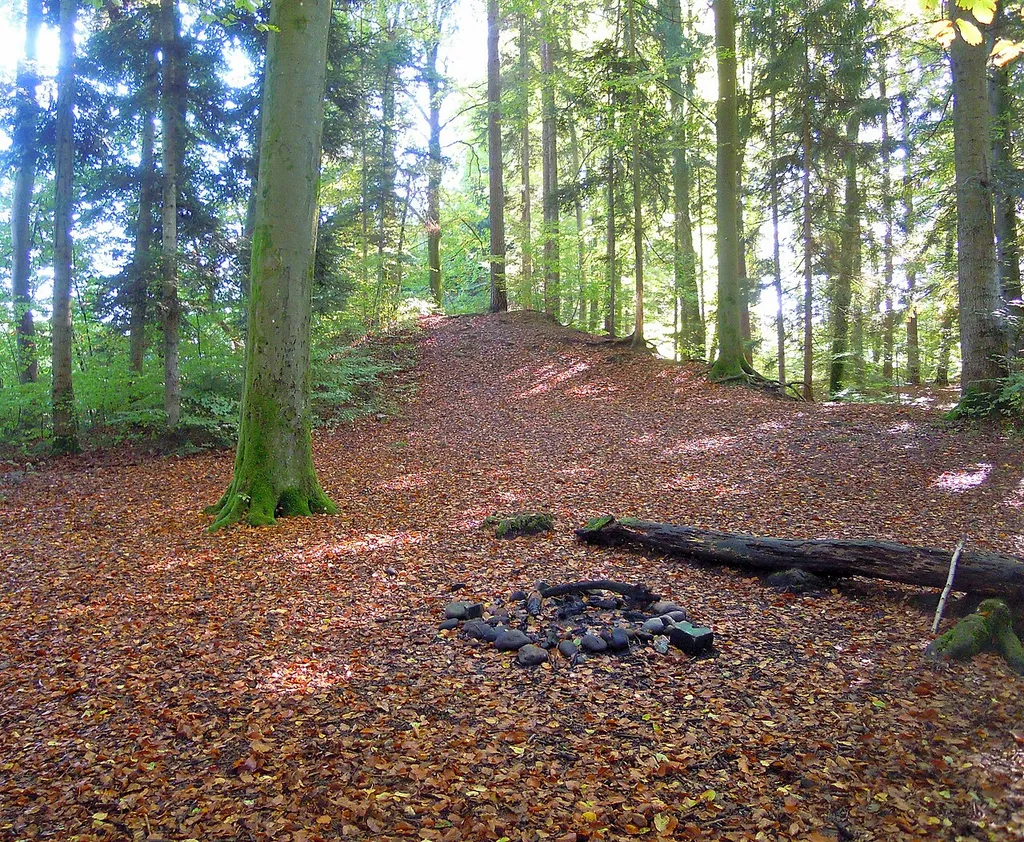 This is an image of a cultural property of regional significance in Switzerland with KGS number