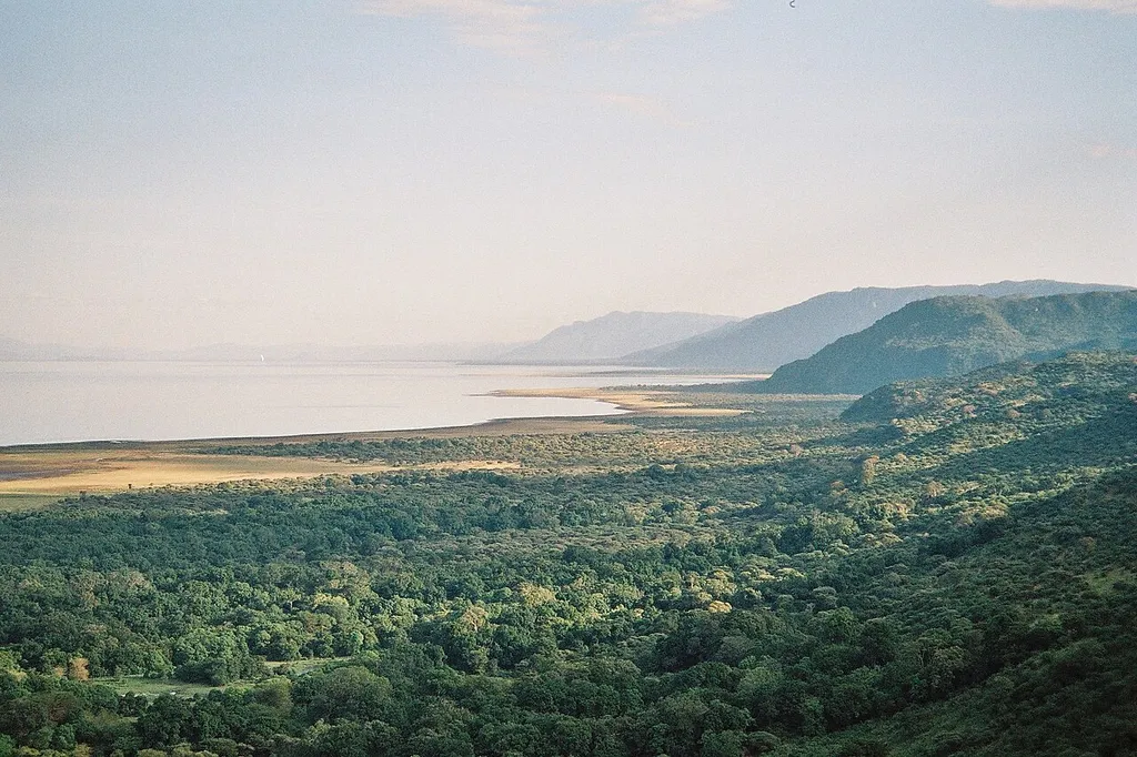 View of Lake Manyara in Northern Tanzania. The lake is seen from the Great Rift's rim, that is also clearly visible on the right of the picture. On the lower part of the picture, the small patch of tropical forest is part of Lake Manyara National Park.