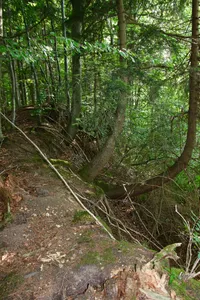 Burgstall
