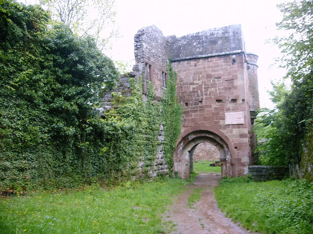 Wildenberg Torturm