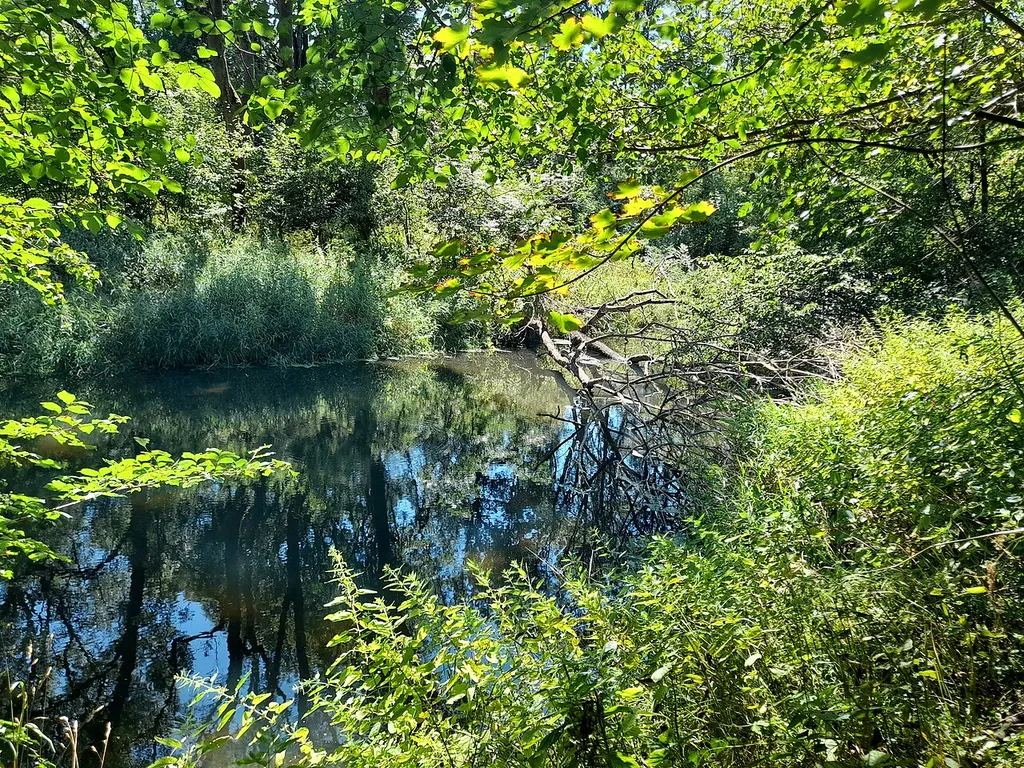 Naturschutzgebiet Luppeaue bei Horburg und Zweimen