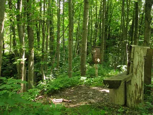 Burgstall Ödenburg