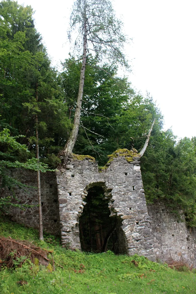 Ruin of castle Alttreffen Locality:Winklern Community:Treffen