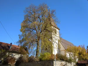 Linde vor der Deufringer Kirche