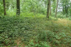 Madeburg