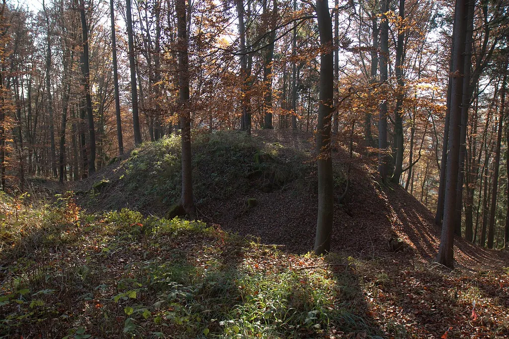 Burgstall Frickenhofen - Ansicht des Burgstalls aus östlicher Richtung