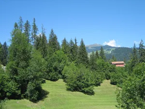 Burg Castrisch