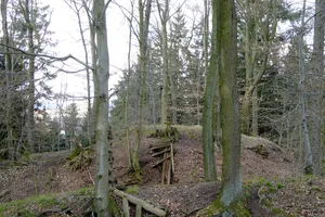 Motte bei Trögen