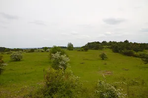 Hutelandschaft Altranft-Sonnenburg