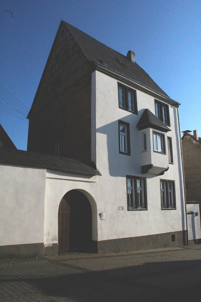 Ansicht auf die Schönecker Burg in Münstermaifeld