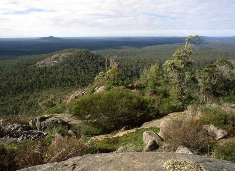 Mount Lindesay National Park