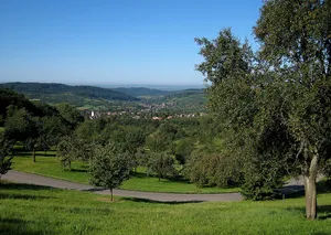 Rheinniederung Haltingen–Neuenburg mit Vorbergzone
