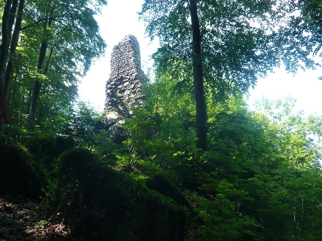 Burg Hohenrod, bei Sasbachwalden, von Osten her gesehen