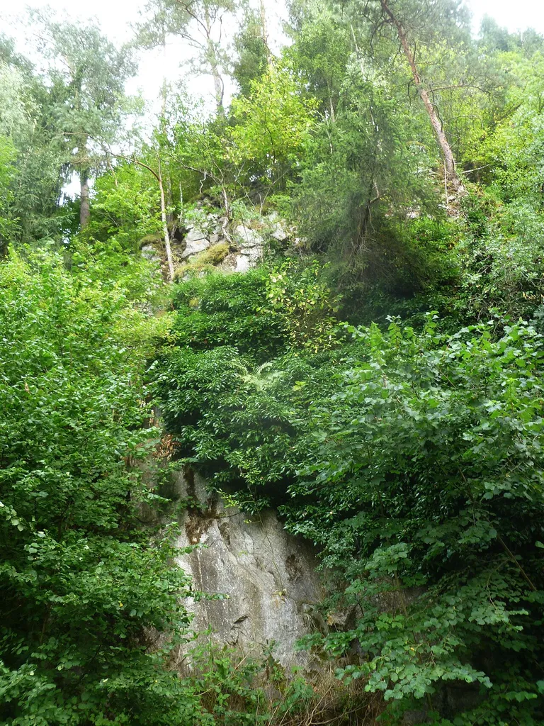Burgruine Schönberg