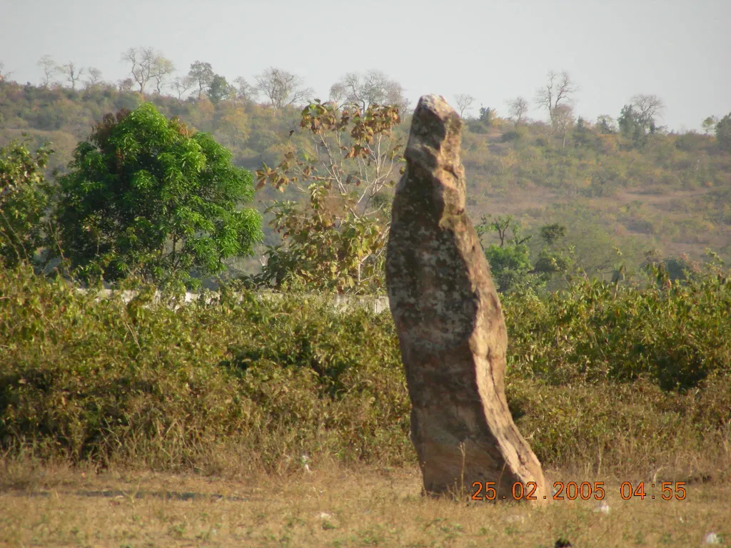 The largest of the many menhirs at the Nagbhir hill base. These 3000 year old structures are under danger of destruction because of unplanned urbanization of the town.
