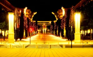 neighborhood Antigone