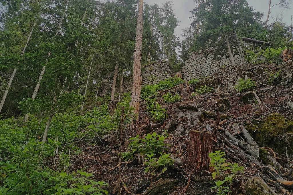 Blick auf die südseitige Ringmauer der Burgruine Henneberg (Deutschfeistritz, Steiermark)