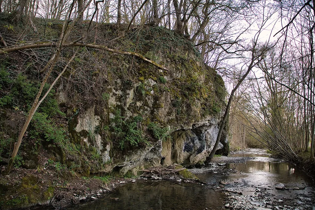 Das Flächenhafte Naturdenkmal Burgwiese in Niederstetten trägt die Schutzgebiets-Nr. 81280820017. Es erstreckt sich westlich entlang des Vorbachs. Aufnahme vom April 2021.