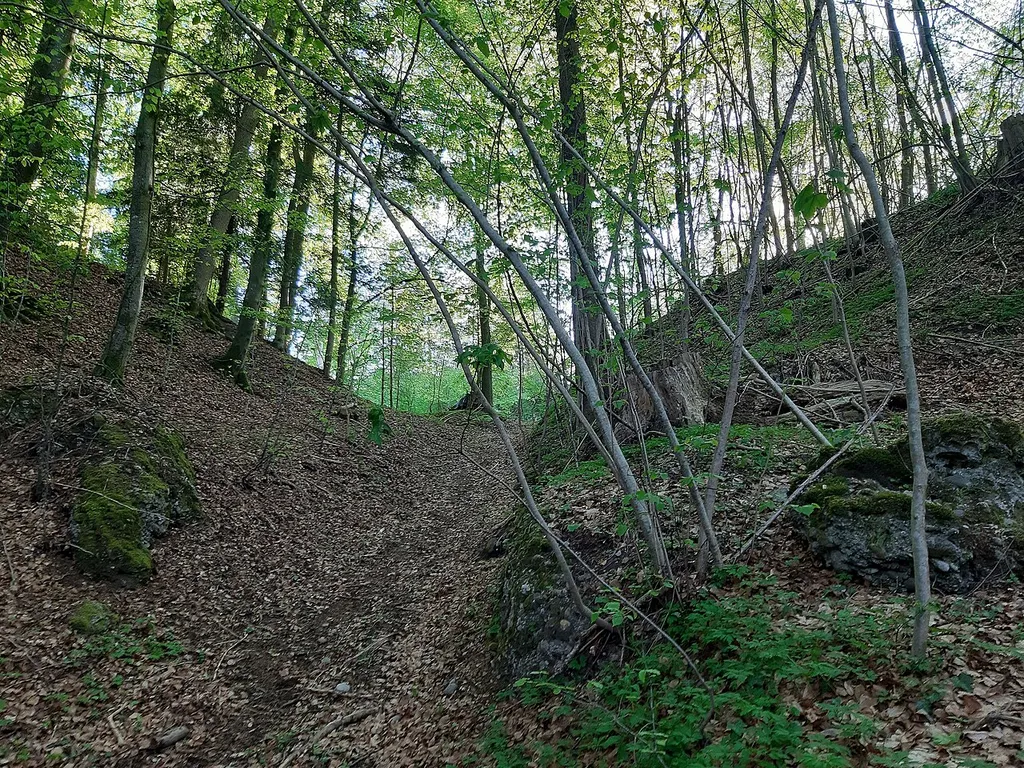 Halsgraben zur Burgstelle Unter Baliken. Vermutlich Reste des Toreingangs.
