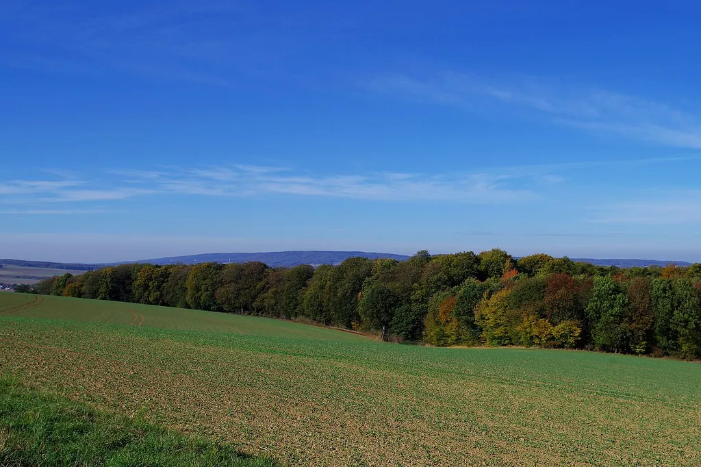 Landschaftsschutzgebiet HM 31 Süd-Deister - Weg von Eimbeckhausen zum Deister