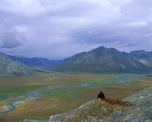 Arctic National Wildlife Refuge