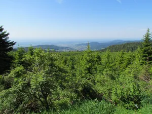 Nordschwarzwald