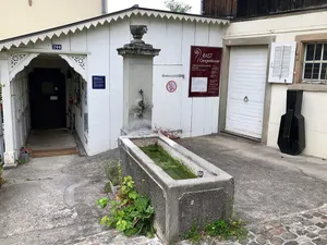 Fountain Burgwies