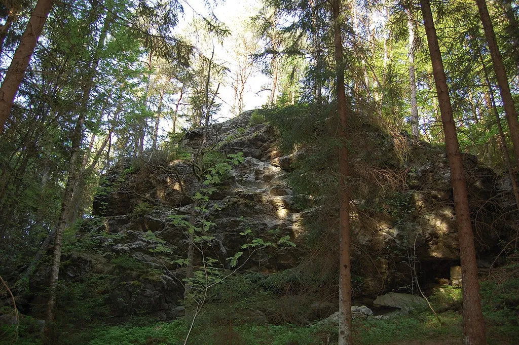 Wutzelstein, Gemeinde Teunz, Landkreis Schwandorf, Oberpfalz, Bayern (2011) Der Name Teunz kommt von "tync", was soviel bedeutet wie "kleine Burg", oder von "tyn", der Bezeichnung für "Mauer, Zaun oder Umwallung" ( Schwarz, Ernst, Sprache und Siedlung in Nordortbayern, Nürnberg 1960, S. 217f.). Ob ein Zusammenhang zwischen einer Besiedlung durch die Slawen und den kaum mehr sichtbaren Überresten eines nordöstlich von Teunz gelegenen Burgstalls "in einer Schlinge der Murach auf dem Felsstock Wutzelstein" besteht(Mages, Emma, Oberviechtach, Historischer Atlas von Bayern, Teil Altbayern, Heft 61, München 1996, S. 9 und Stroh, Armin, Die vor- und frühgeschichtlichen Geländedenkmäler in der Oberpfalz (Materialhefte zur bayerischen Vorgeschichte, Reihe B, Bd. 3), Kallmünz 1975, Karte 8), ist nicht erwiesen.
