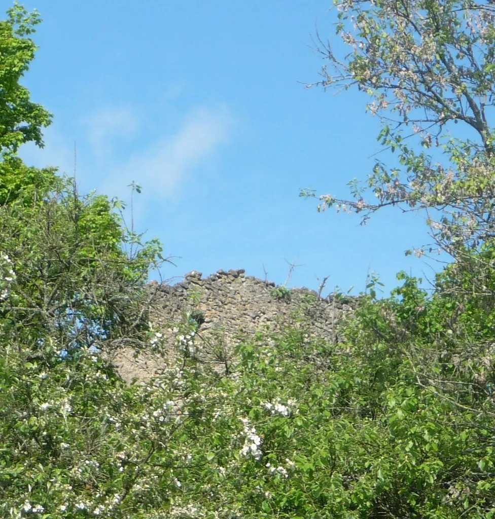 Reste der Burg in Neidenstein