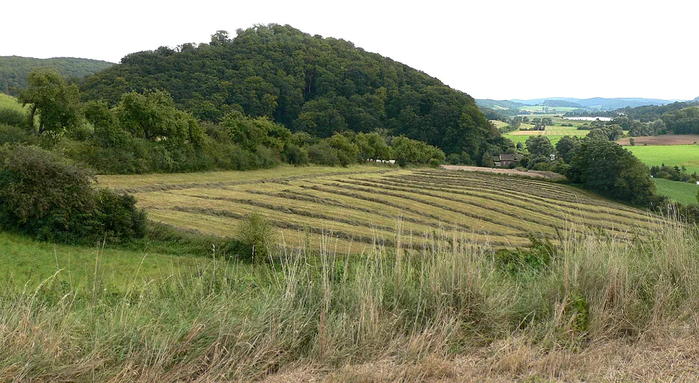 Burgberg der Burg Hausfreden, rechts die Leine