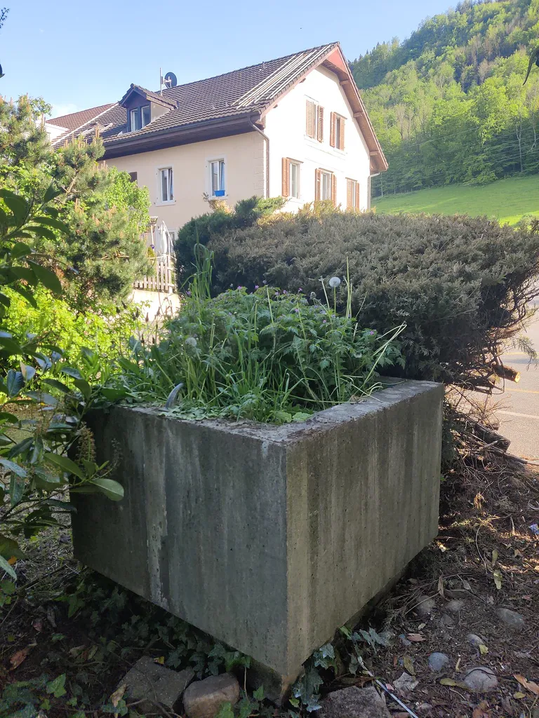 While no longer in use, the station fountain at Rekingen AG railway station is a characteristic design staple of Max Vogt, who also designed the station building.