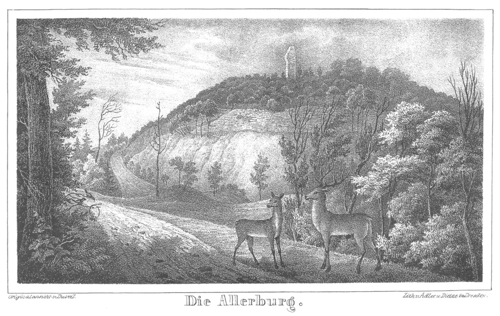Allerburg castle