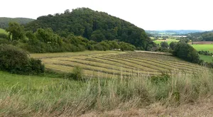 Burg Hausfreden