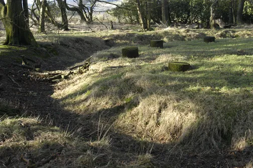 Bleasdale Circle, Bleasdale Taken looking west showing the ditch on the south side of the mound