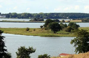 Burgwall Neppermin