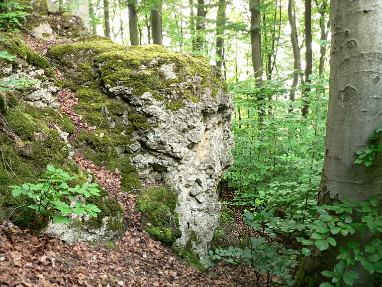 Fundamentreste der Burg Hallermund
