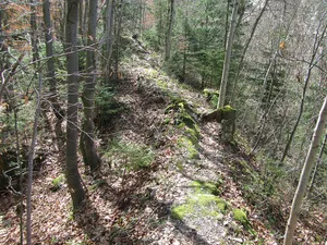 Wildeneck castle ruins