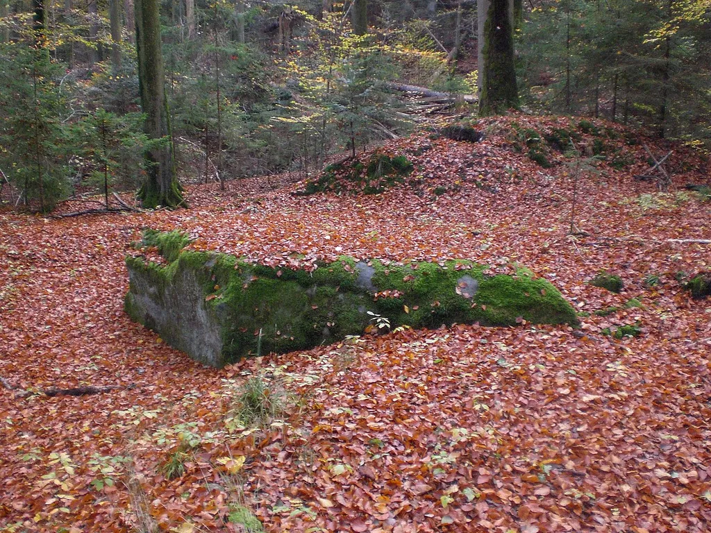 Burg (oder auch Jagdschloss) Brunn, Brunn, Nürnberg, Mauerreste