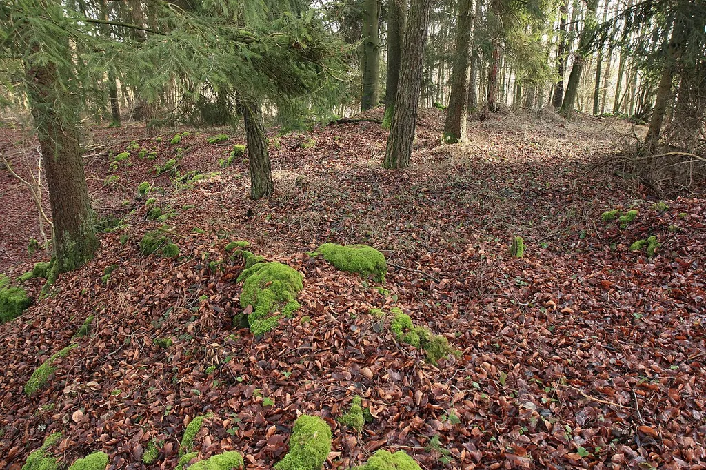 Burgstall Oedenthurn - Blick über den Abschnittswall