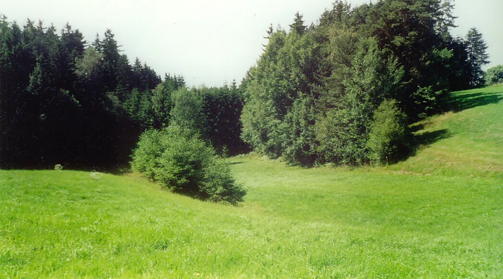 Südliche Waldgrenze beim Burgstall "Schloss Foerles Neudürrlas"