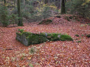 Burg Brunn