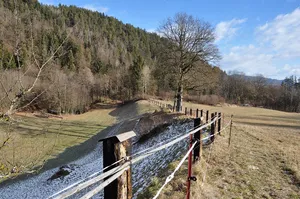 Burg Karnburg