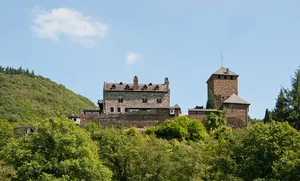 Wildburg (Treis-Karden)